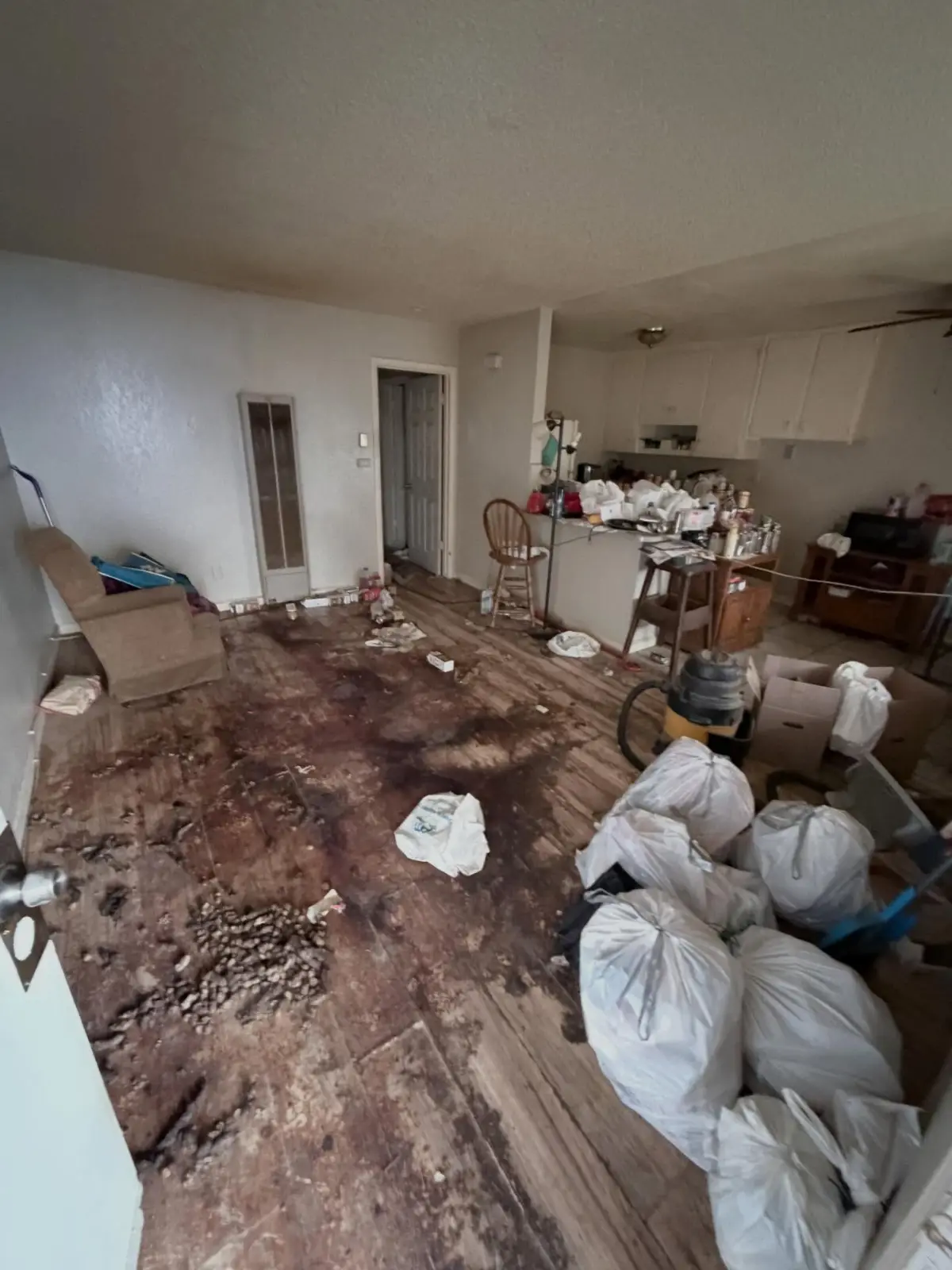A hoarded Mesa living room and kitchen with an armchair, bagged debris and loose refuse across a stained subfloor