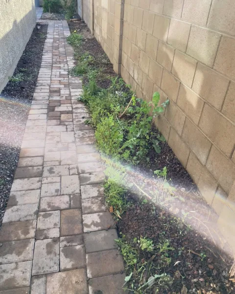 Paver side yard at a Mesa home cleared of furniture, panels and bins by Haulo