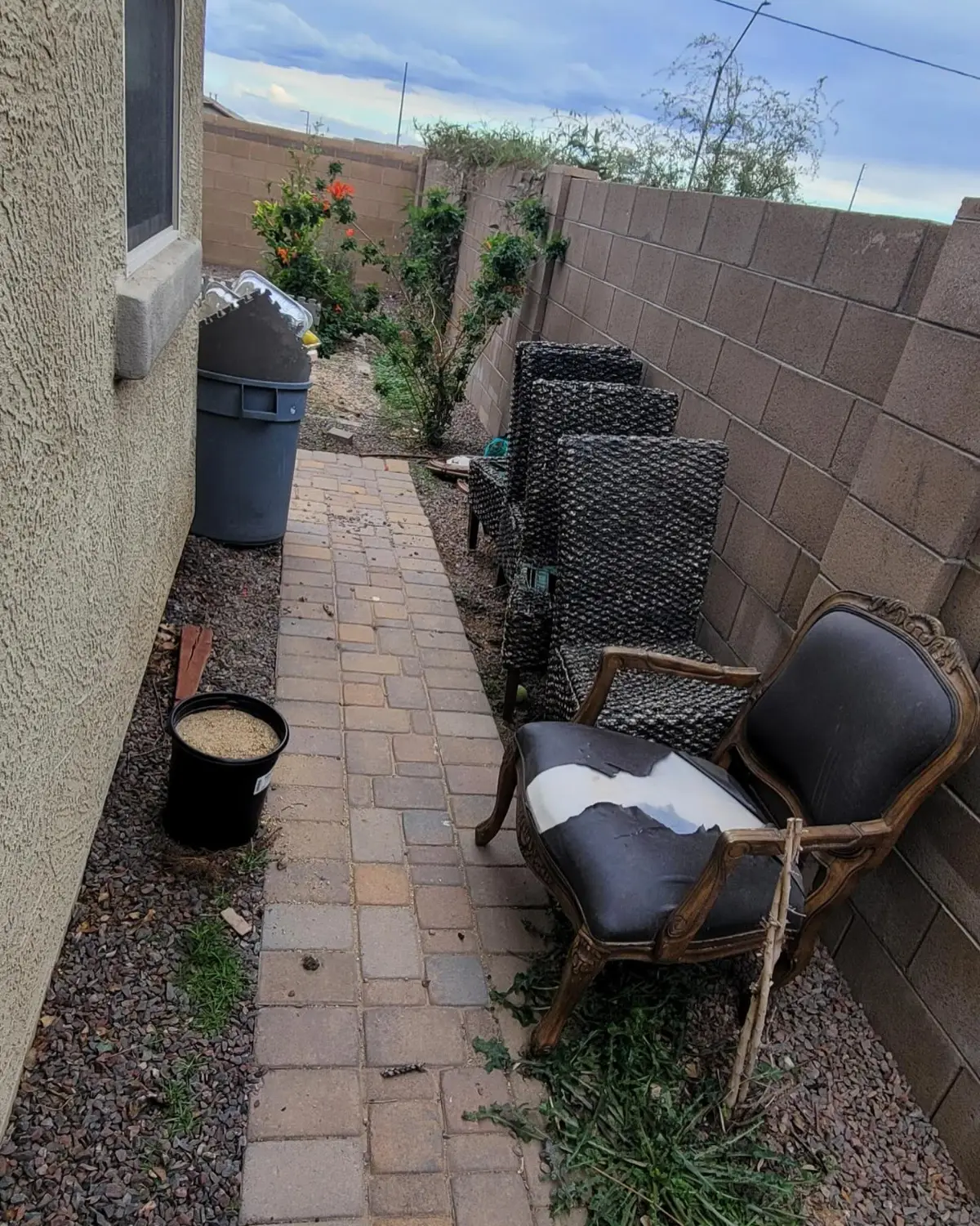 Paver side yard at a Mesa home with an upholstered armchair, wicker panels, a wheeled bin of foil pans and a bucket of gravel along the wall