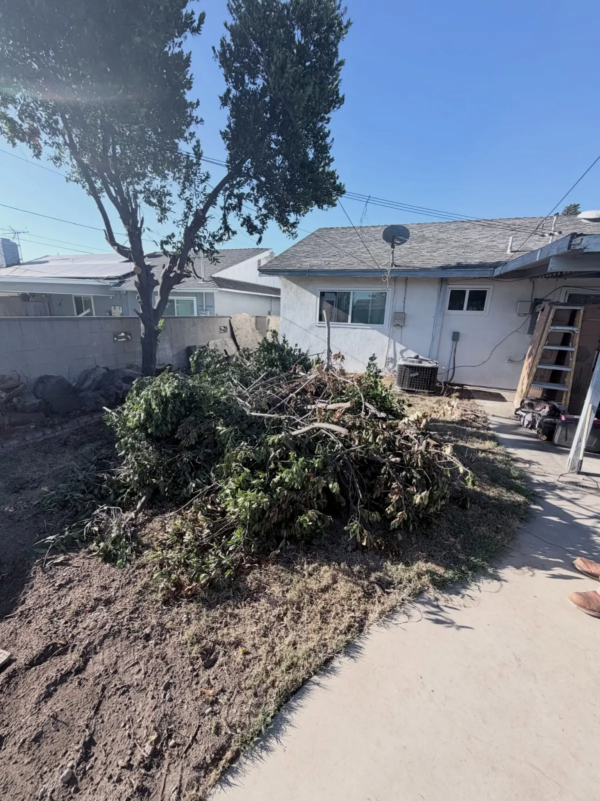 A pile of cut tree limbs and brush on the lawn beside a Phoenix house