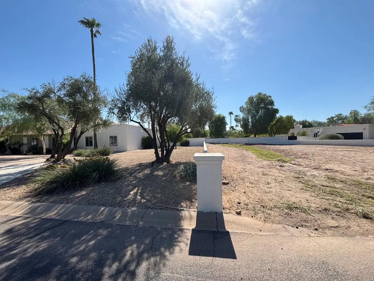 The same Scottsdale curb strip clear back to the gravel and the olive tree