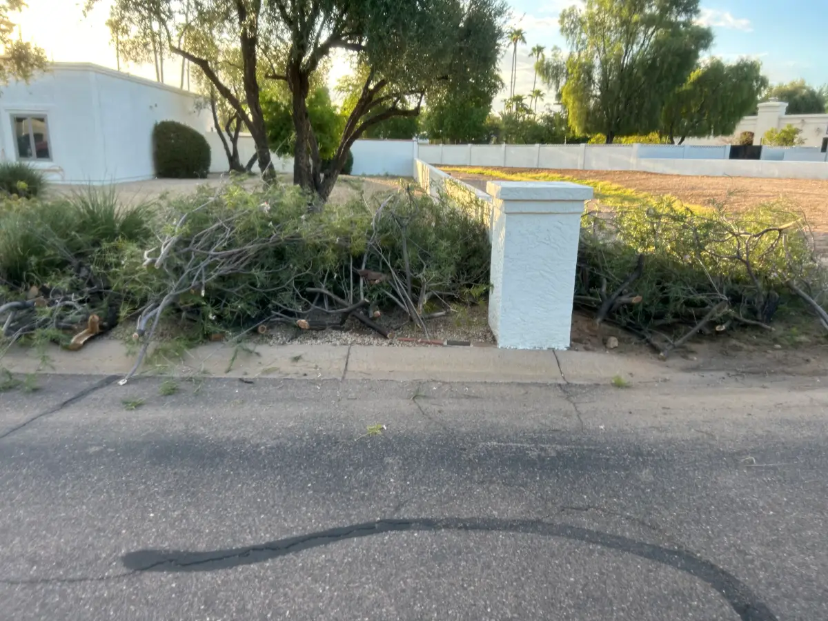 Cut branches and shrub trimmings heaped on a Scottsdale curb strip beside a white entry pillar